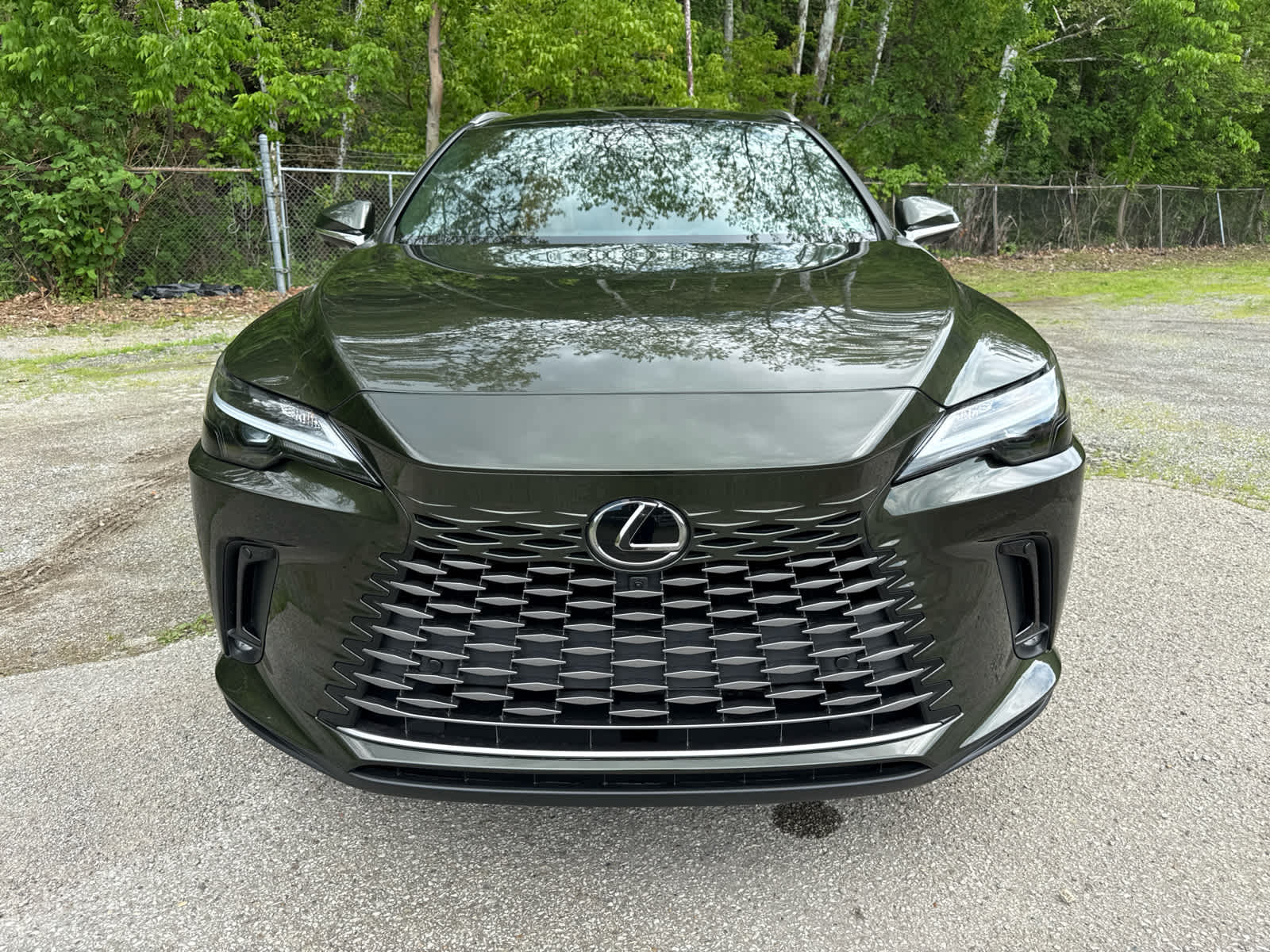 2025 Lexus RX RX 350h